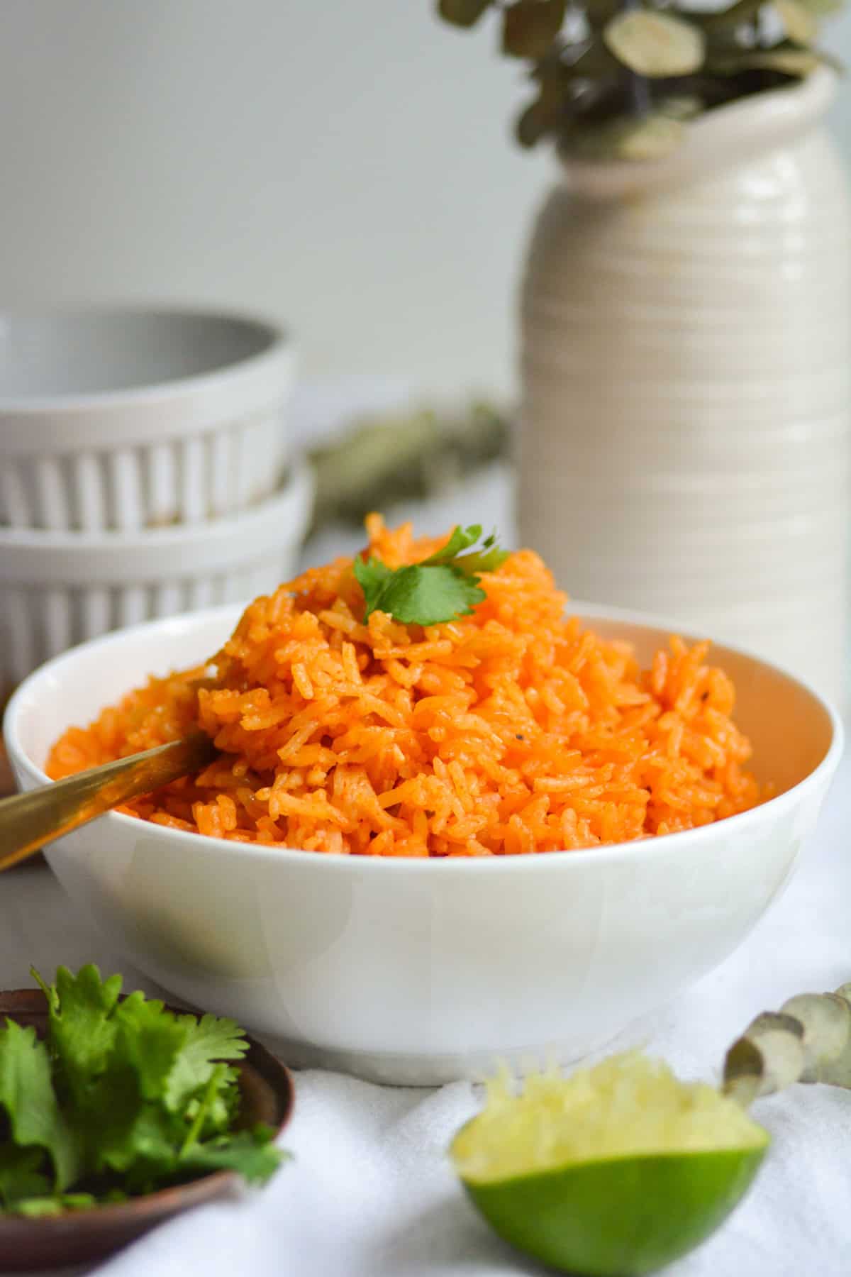 Mexican Rice image